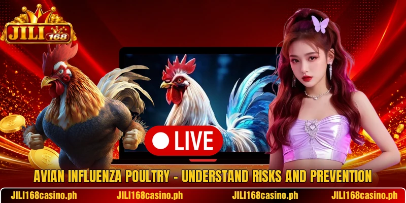 Avian Influenza Poultry – Understand Risks And Prevention