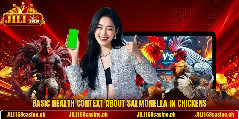 Basic health context about salmonella in chickens