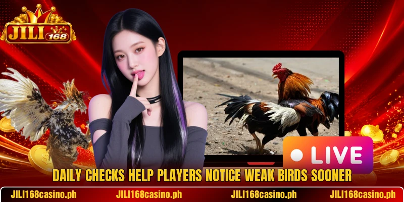 Daily checks help players notice weak birds sooner Daily checks help players notice weak birds sooner