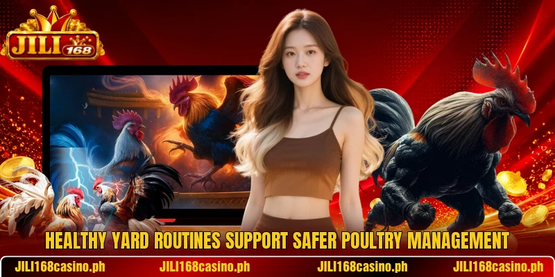 Healthy yard routines support safer poultry management Healthy yard routines support safer poultry management