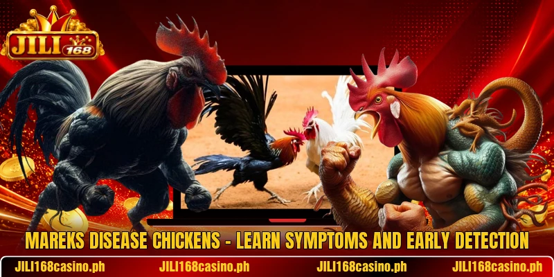 Mareks Disease Chickens – Learn Symptoms And Early Detection