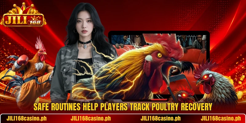 Safe routines help players track poultry recovery